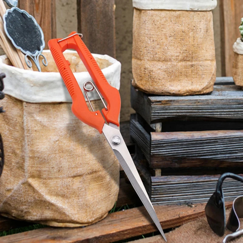 Multi-Purpose Pruning Scissors - Bonsai Garden Knife review and price