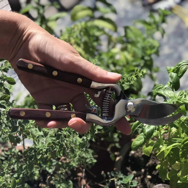 1Pc Wood Handle Pruning Shears - Bonsai Garden Knife review and price