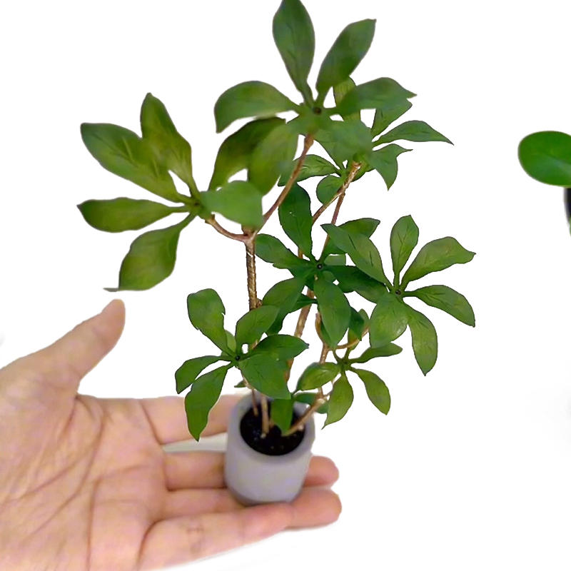 1:6 Dollhouse Miniature Potted - Bonsai Garden House review and price