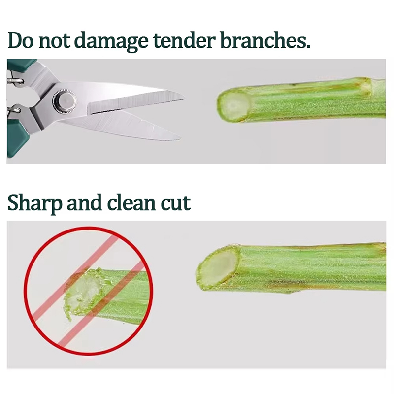 190mm Straight‑Head Pruning Sh - Bonsai Garden Knife review and price