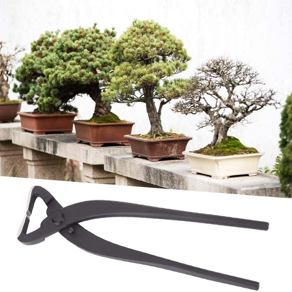 Ply Steel Bonsai Trunk Splitte - Bonsai Garden Knife review and price