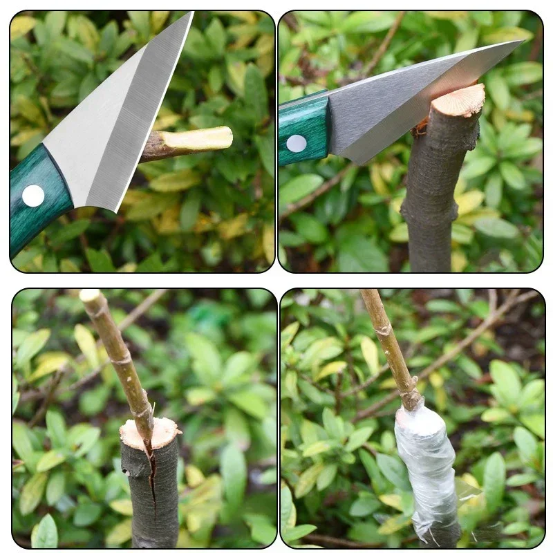 Stainless Steel Grafting Knife - Bonsai Garden Knife review and price