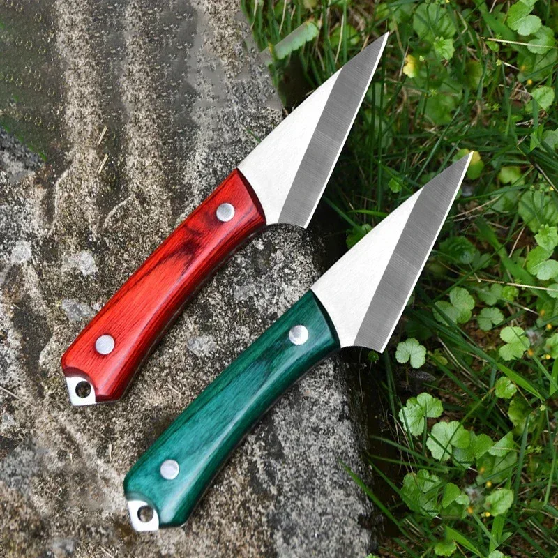 Stainless Steel Grafting Knife - Bonsai Garden Knife review and price