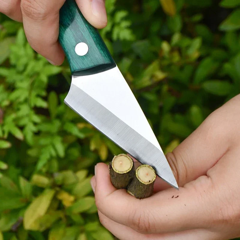 Stainless Steel Grafting Knife - Bonsai Garden Knife review and price