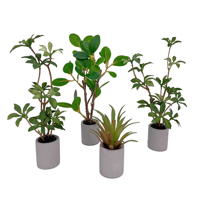 1:6 Dollhouse Miniature Potted - Bonsai Garden House review and price