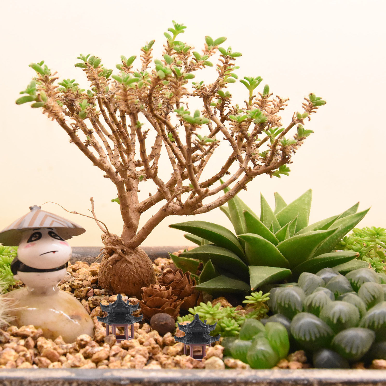 Exquisite Mini Hexagon Pavilio - Bonsai Garden Set Up review and price