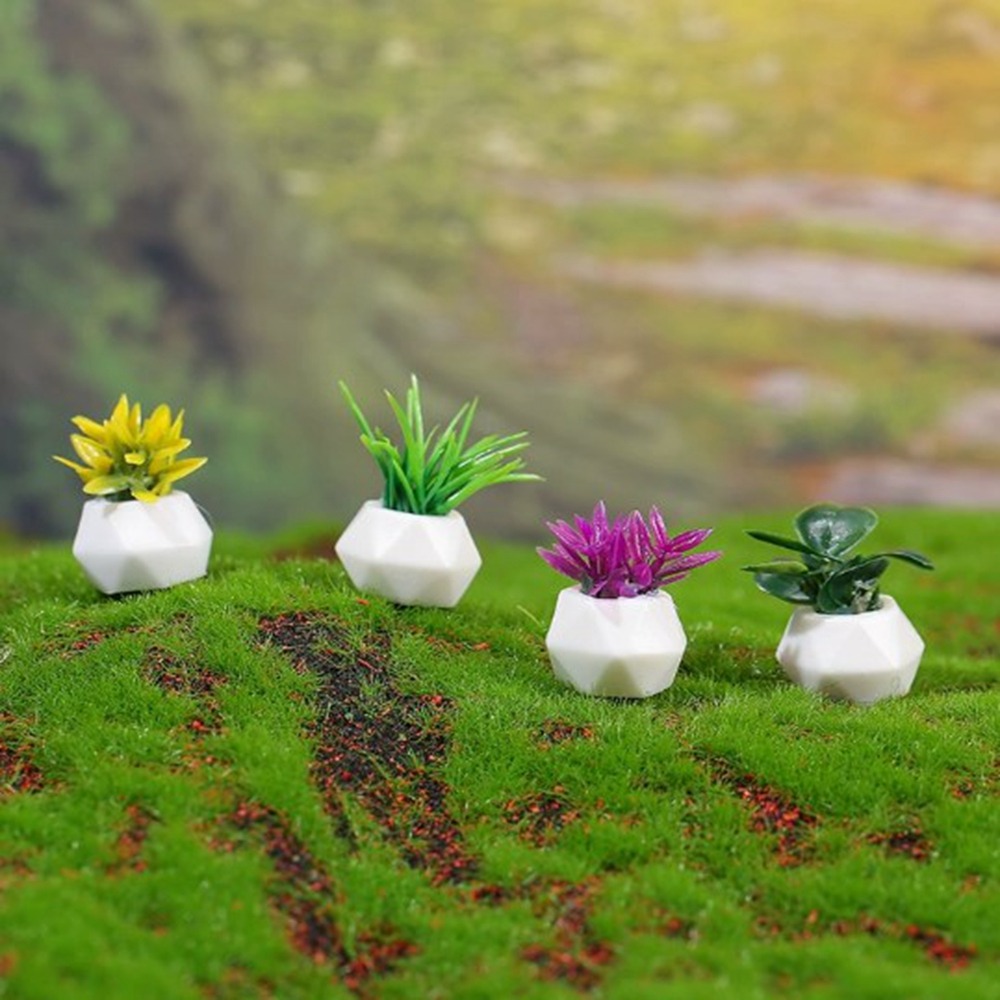 1:12 Dollhouse Miniature Potte - Bonsai Garden House review and price