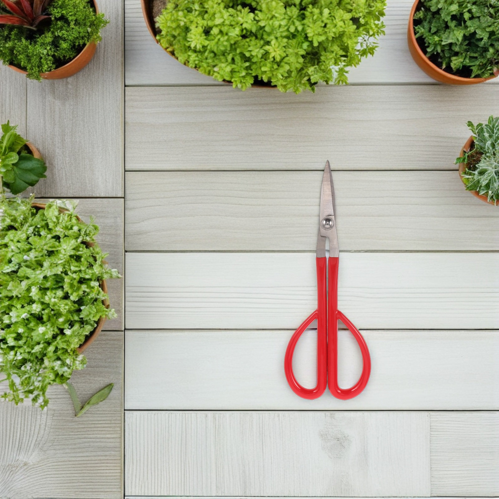Lightweight Stainless Steel Ga - Bonsai Garden Knife review and price