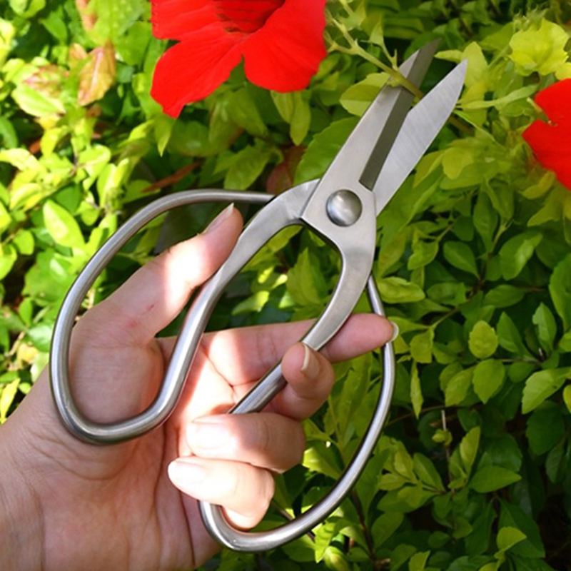 Stainless Steel Pruning Shears - Bonsai Garden Knife review and price