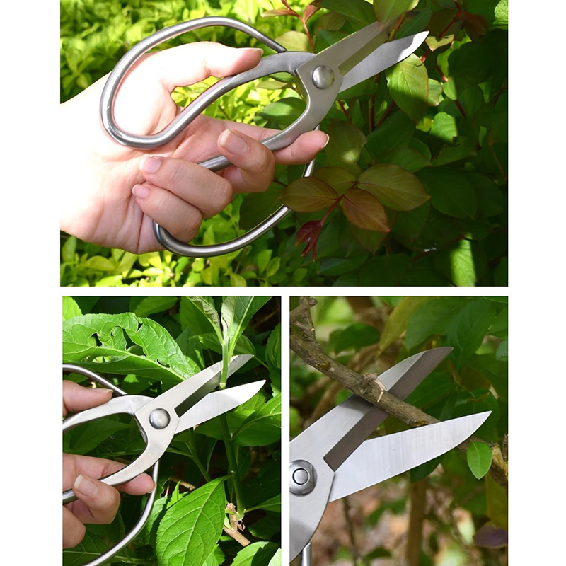 Stainless Steel Pruning Shears - Bonsai Garden Knife review and price
