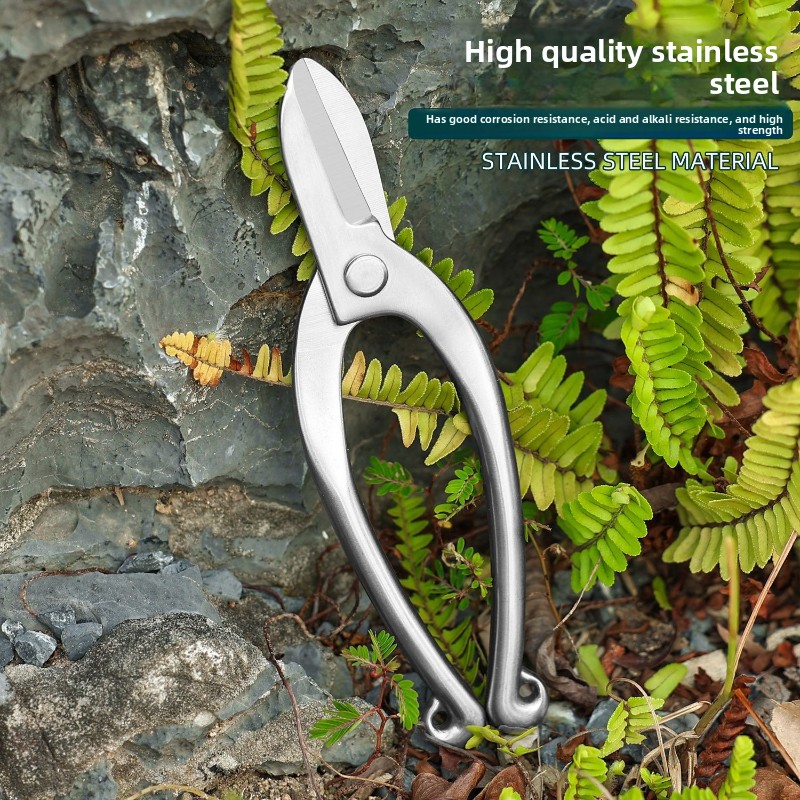 Stainless Steel Ikebana Scisso - Bonsai Garden Knife review and price