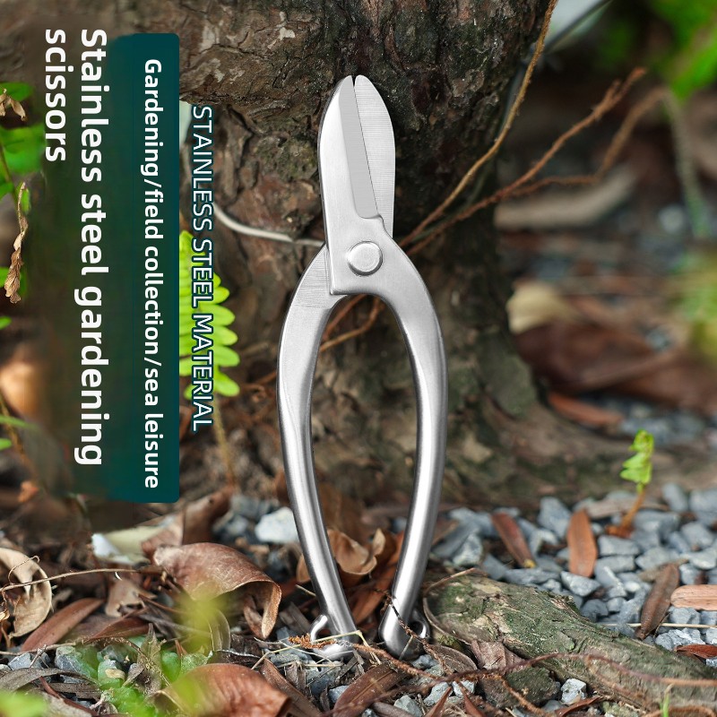 Stainless Steel Ikebana Scisso - Bonsai Garden Knife review and price