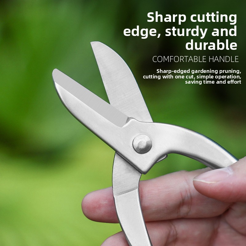 Stainless Steel Ikebana Scisso - Bonsai Garden Knife review and price